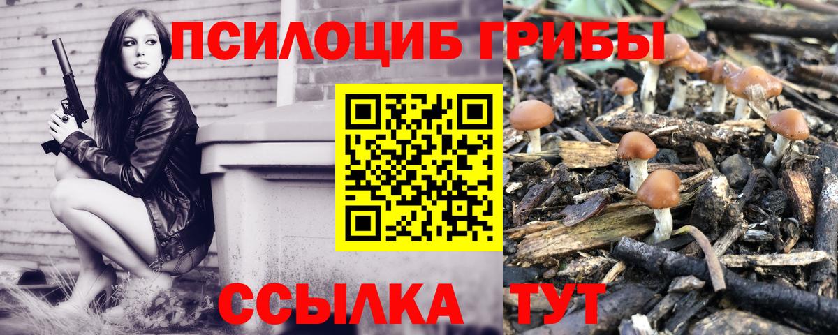 Псилоцибиновые грибы мухоморы Ухта